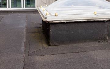 disadvantages of South Alloa flat roofs