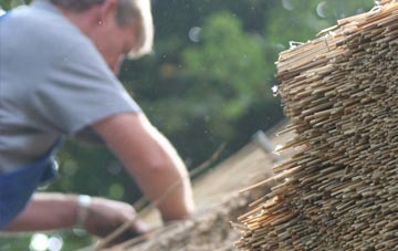 professional South Alloa thatchers